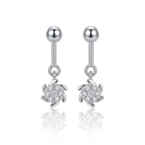 Silver Helix Round Hexa Cz Earrings